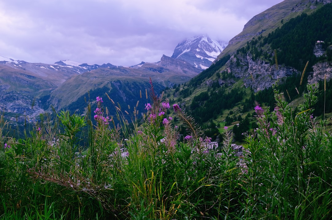 Beitragsbild für: Why Switzerland Feels Like the Alps in Their Purest Form