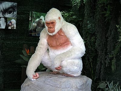 Zoo Barcelona