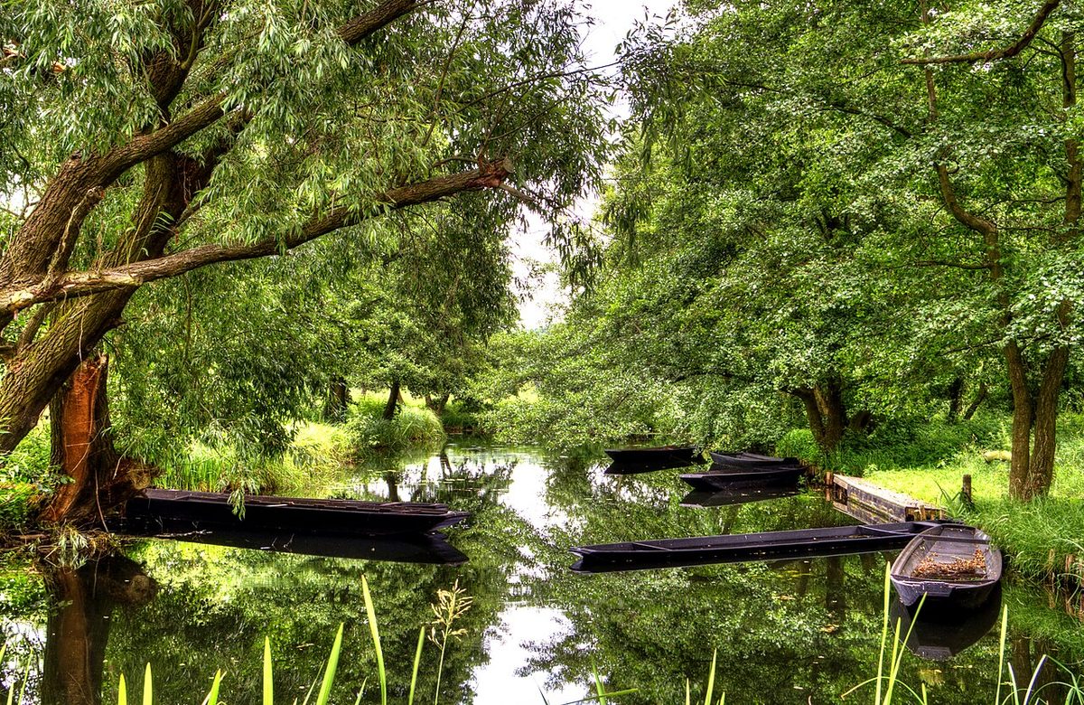 Spreewald