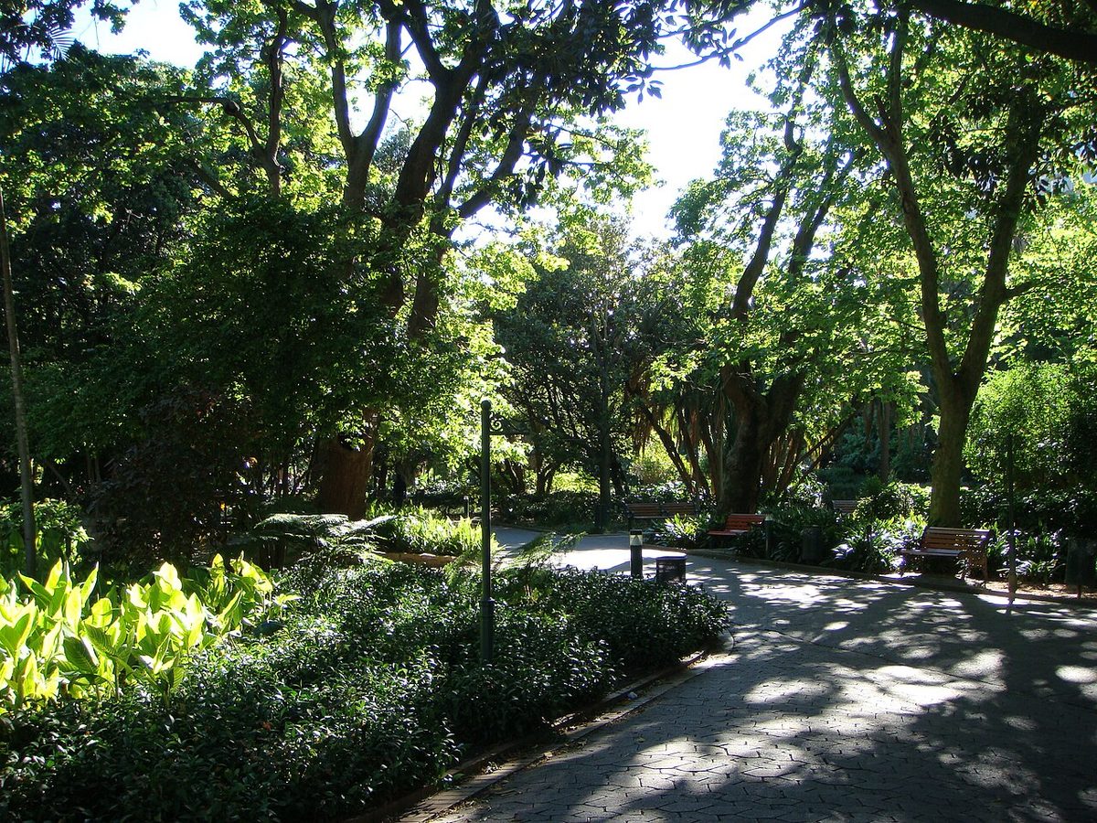 Company's Garden