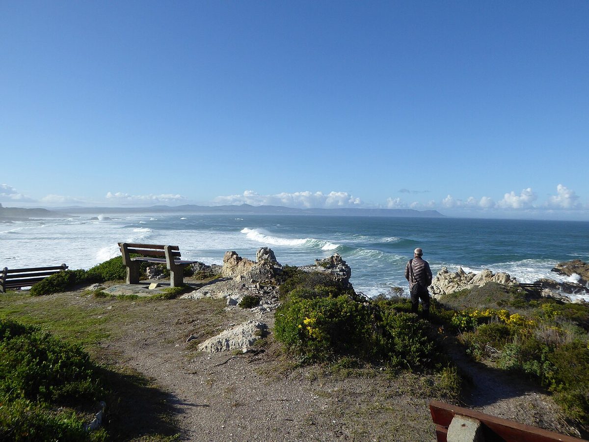 Hermanus