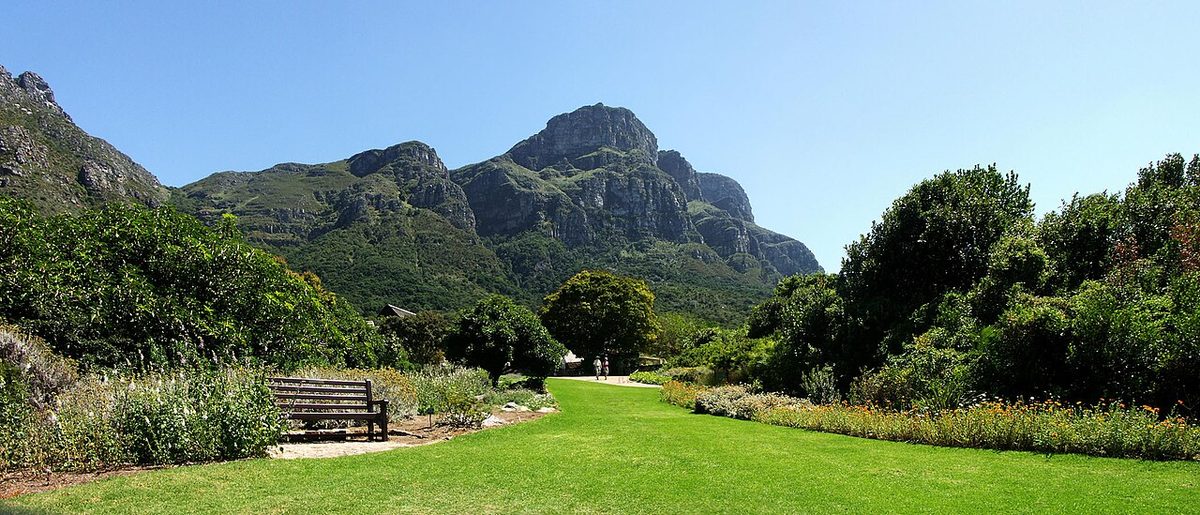 Kirstenbosch