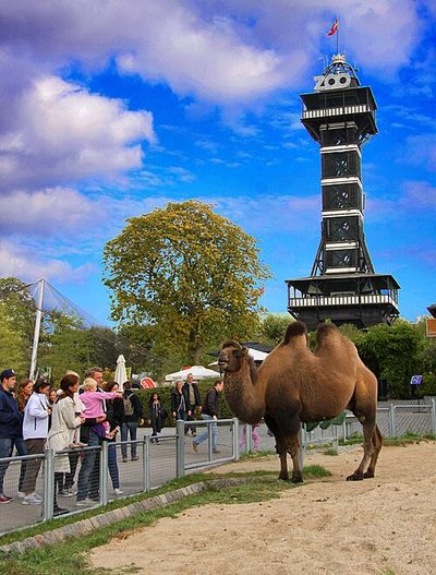 Zoo Kopenhagen