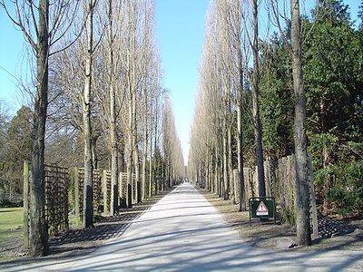 Assistenzfriedhof