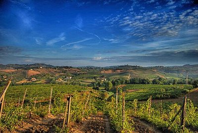 Chianti