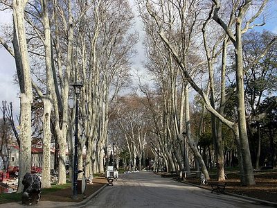 Gülhane-Park