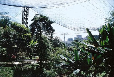 Vogelpark Kuala Lumpur