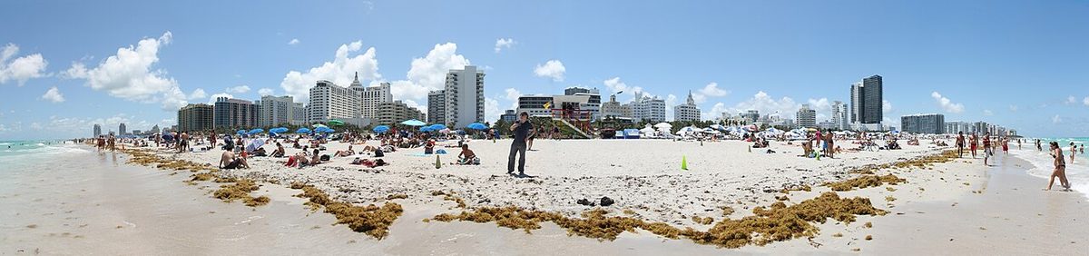 South Beach: Lummus Park