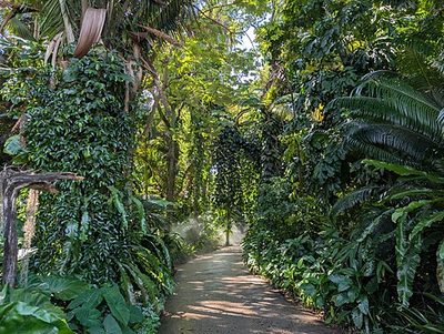 Fairchild Tropical Botanic Garden
