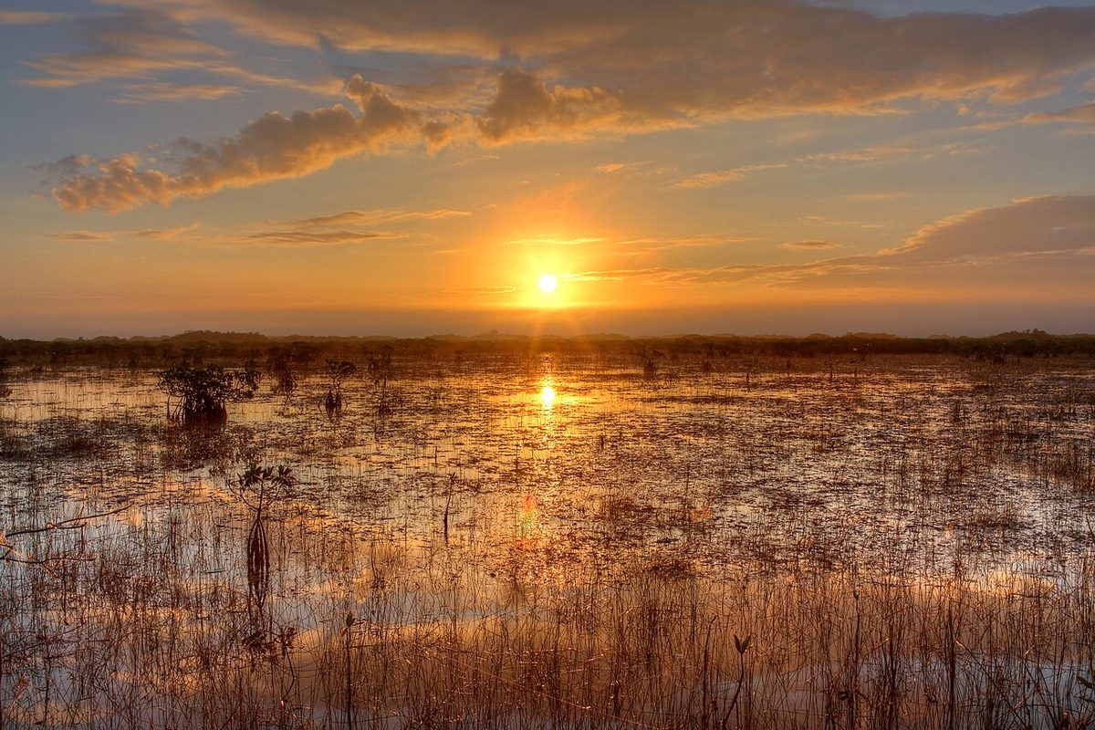 Everglades-Nationalpark