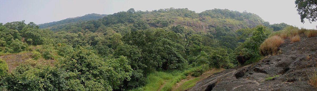 Nationalpark Sanjay Gandhi