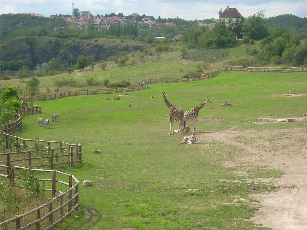 Zoo Prag
