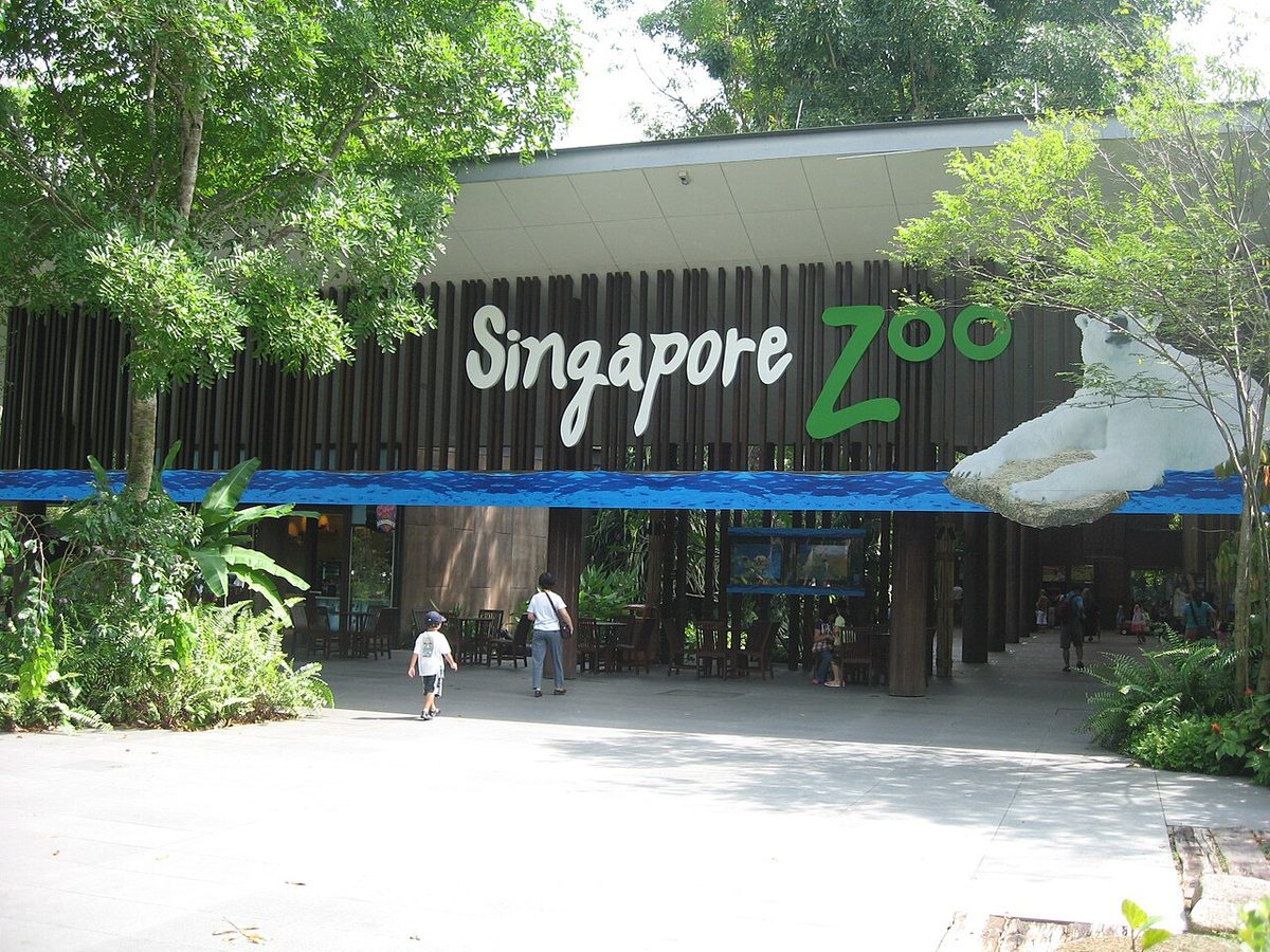 Zoo Singapur