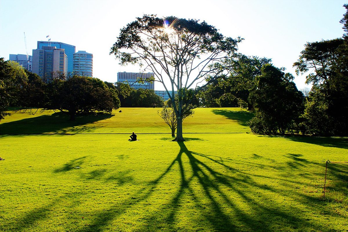 Royal Botanic Garden