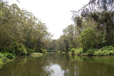 Lane-Cove-Nationalpark