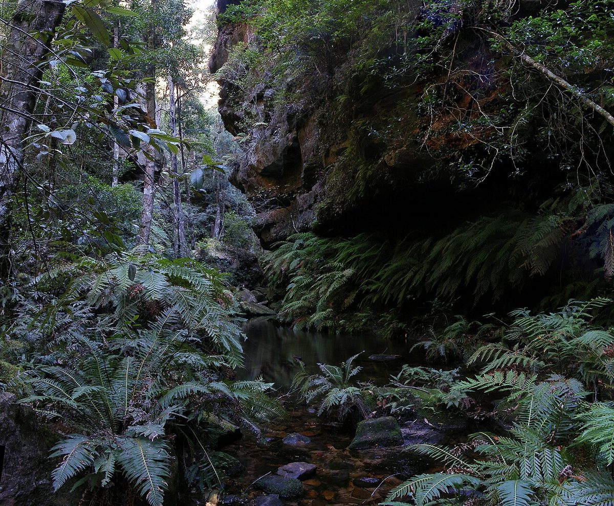 Blue Mountains