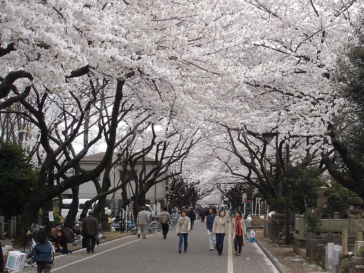 Yanaka