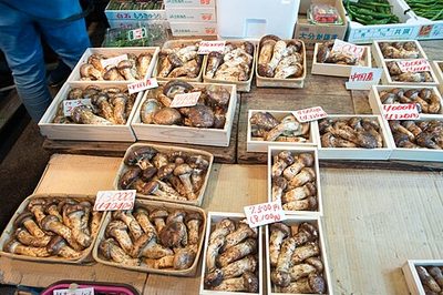 Äußerer Markt von Tsukiji