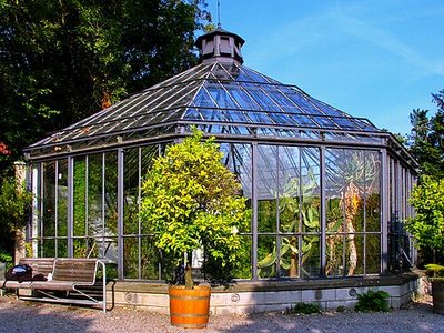 Alter Botanischer Garten