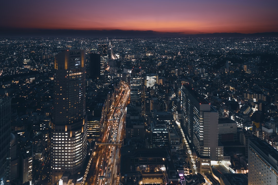 Tokyo: A City of Precision, Contrast, and Quiet Order