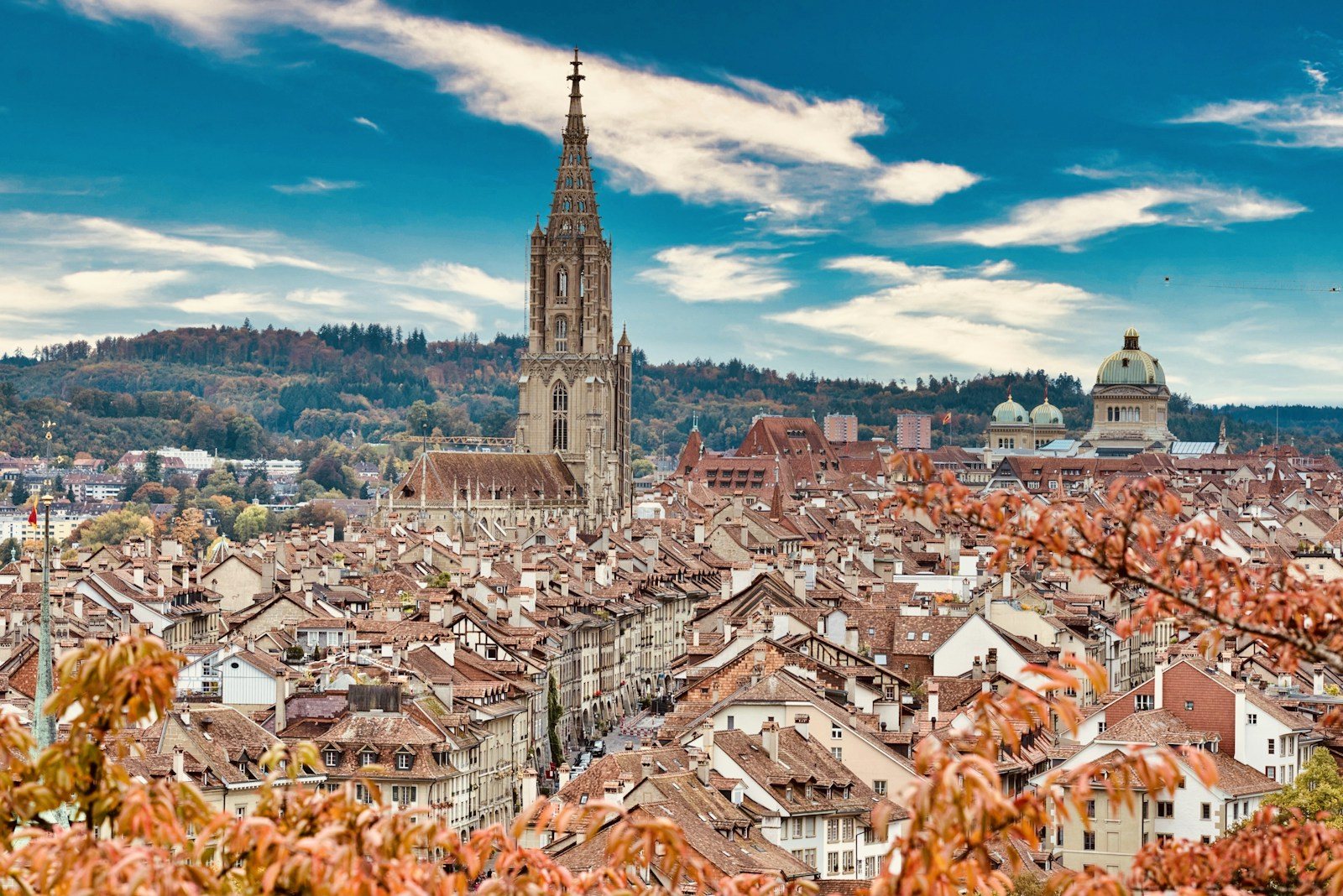 Bern Old Town from the Rose Garden