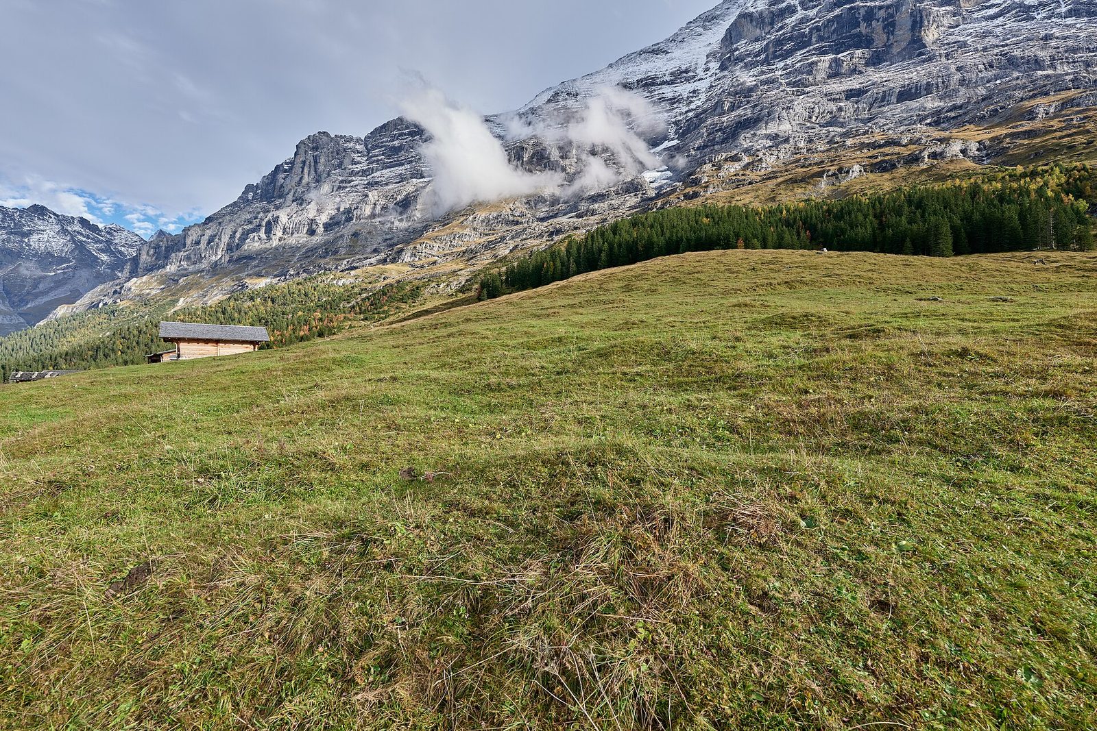 Eiger North Face above Alpiglen