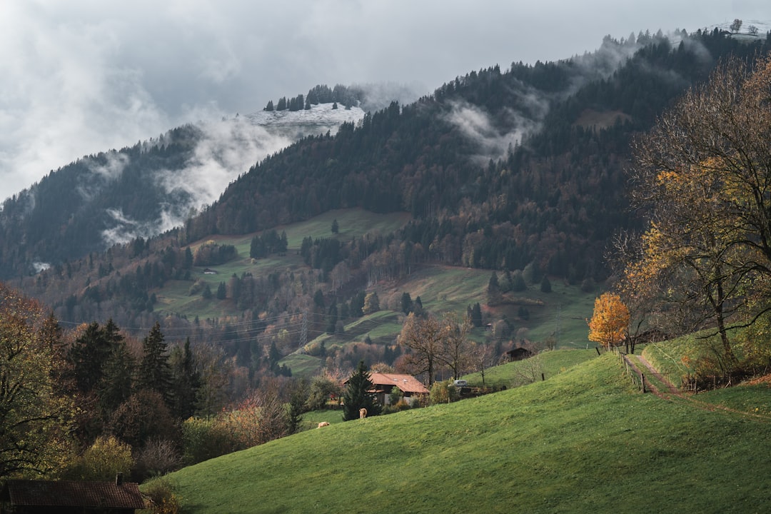 Harder Kulm Ascent from Interlaken