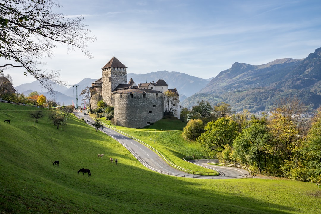 Vaduz City Guide