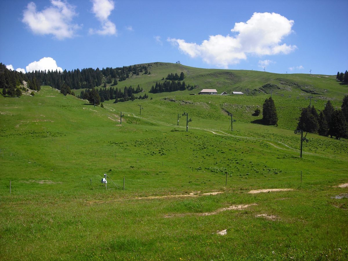 Weiden auf dem Semnoz
