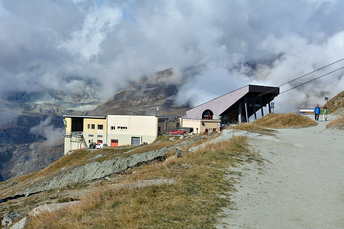 Blauherd