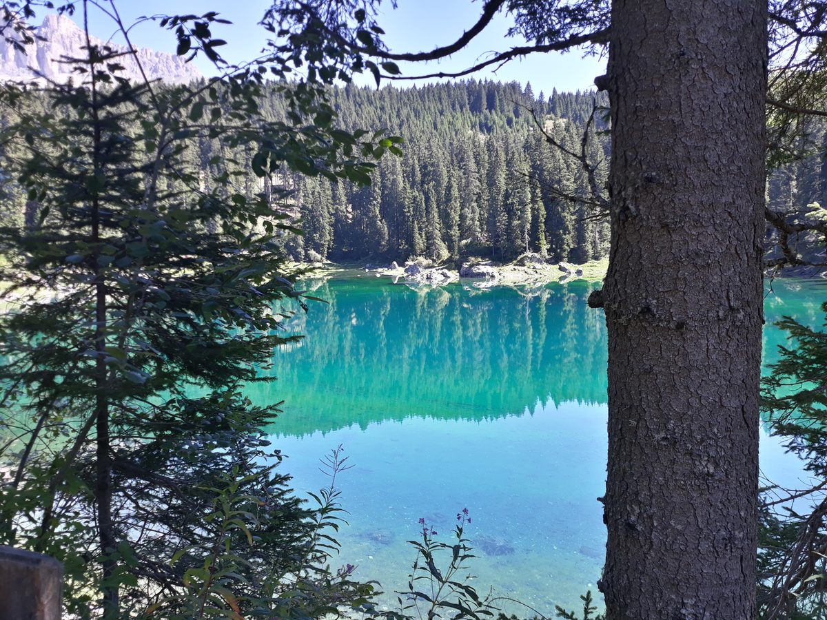 Karersee through the trees
