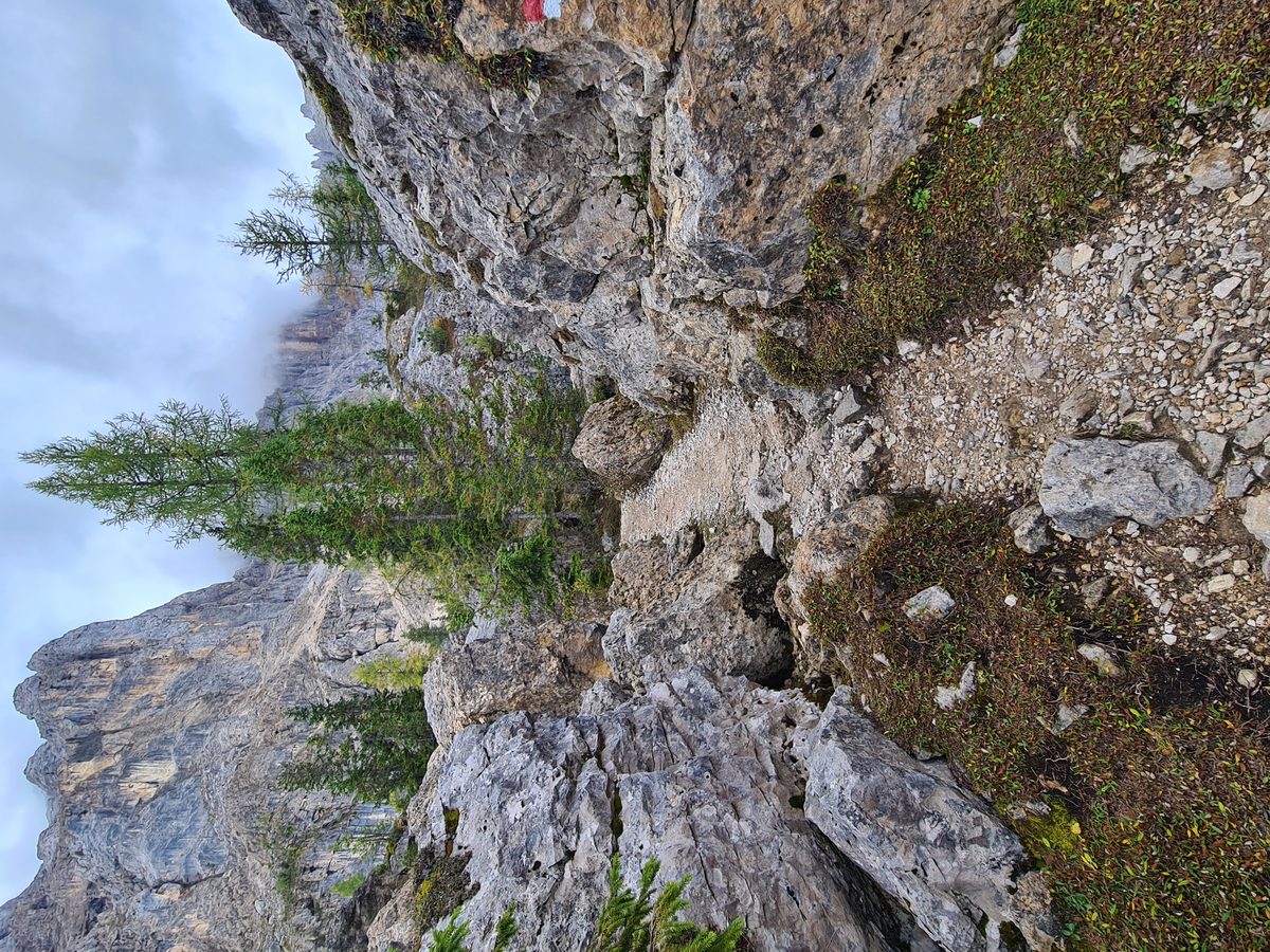 Labyrinthsteig below the Latemar